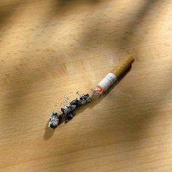 ������� Kronoflooring
