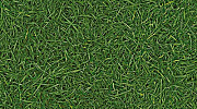 Линолеум бытовой IVC Bingo Grass 25