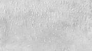 Вставка Cersanit Brooklyn светло-серый (BL2С522) 29,8x59,8