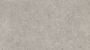 Керамогранит Kerama Marazzi SG519920R Риккарди серый светлый матовый обрезной 60х119,5x0,9, 1 кв.м.