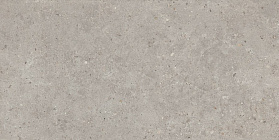 Керамогранит Kerama Marazzi SG519920R Риккарди серый светлый матовый обрезной 60х119,5x0,9, 1 кв.м.