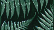 Плитка из керамогранита Kerama Marazzi SFD001 Декор Сантана 3 структура зеленый темный глянцевый 15x15x10,7