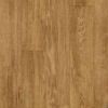 Линолеум Beauflor Penta Rustic Oak Plank 046 D