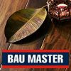 Bau Master - практичное напольное покрытие 33 класса!