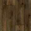 Линолеум Beauflor Antonio Forest Oak 669 D
