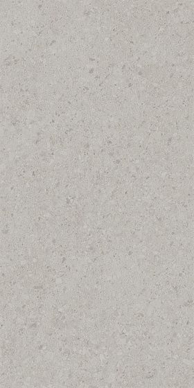 Керамогранит Kerama Marazzi DD591200R Чеппо ди Гре серый светлый матовый обрезной 119,5x238,5x1,1, 1 кв.м.