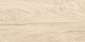   Alma Ceramica  Керамогранит   Брентвуд / Brentwood  GFA3060BWD04R 300 x 600 x 7