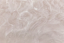 Обои виниловые Kerama Marazzi Оазис, база, бежевый (1, ТC) КМ6208