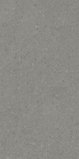 Керамогранит Kerama Marazzi DD591500R Чеппо ди Гре серый тёмный матовый обрезной 119,5x238,5x1,1, 1 кв.м.