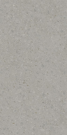 Керамогранит Kerama Marazzi DD591400R Чеппо ди Гре серый матовый обрезной 119,5x238,5x1,1, 1 кв.м.