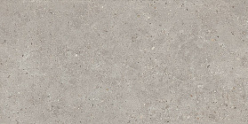 Керамогранит Kerama Marazzi SG519920R Риккарди серый светлый матовый обрезной 60х119,5x0,9, 1 кв.м.