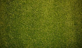 Ковролин Urggazcarpet Shaggy Bravo 546-yesil, 1 м.кв.