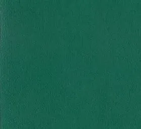 Линолеум спортивный Tarkett Omnisports R35 Forest Green