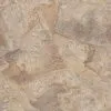 Линолеум бытовой Polystyl Taifun Фуэго 1